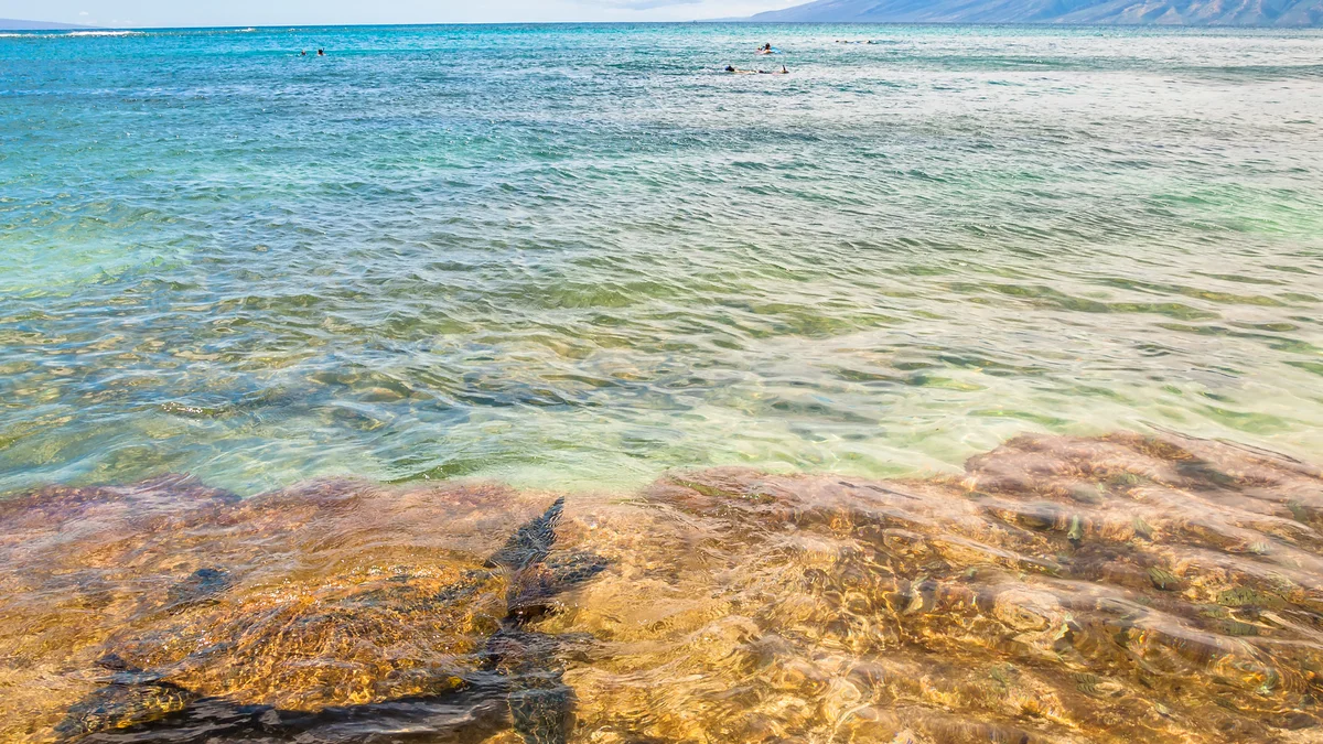 .Kaanapali Plantation 53-UL