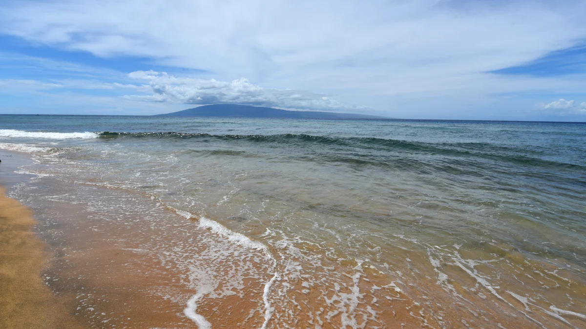 .Mahana 1107