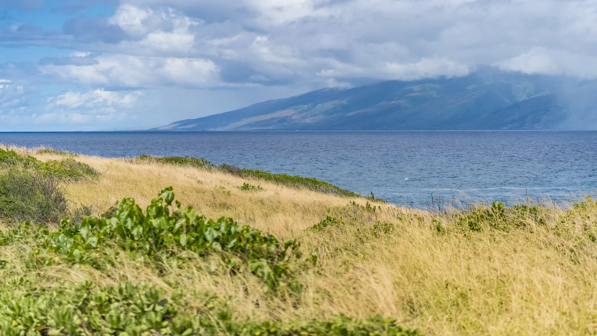 Kapalua Bay Villas 36G5