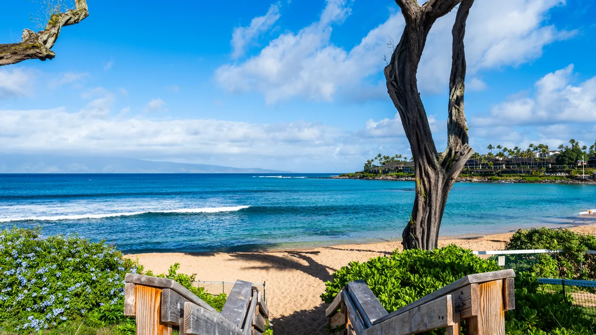 Napili Surf 207