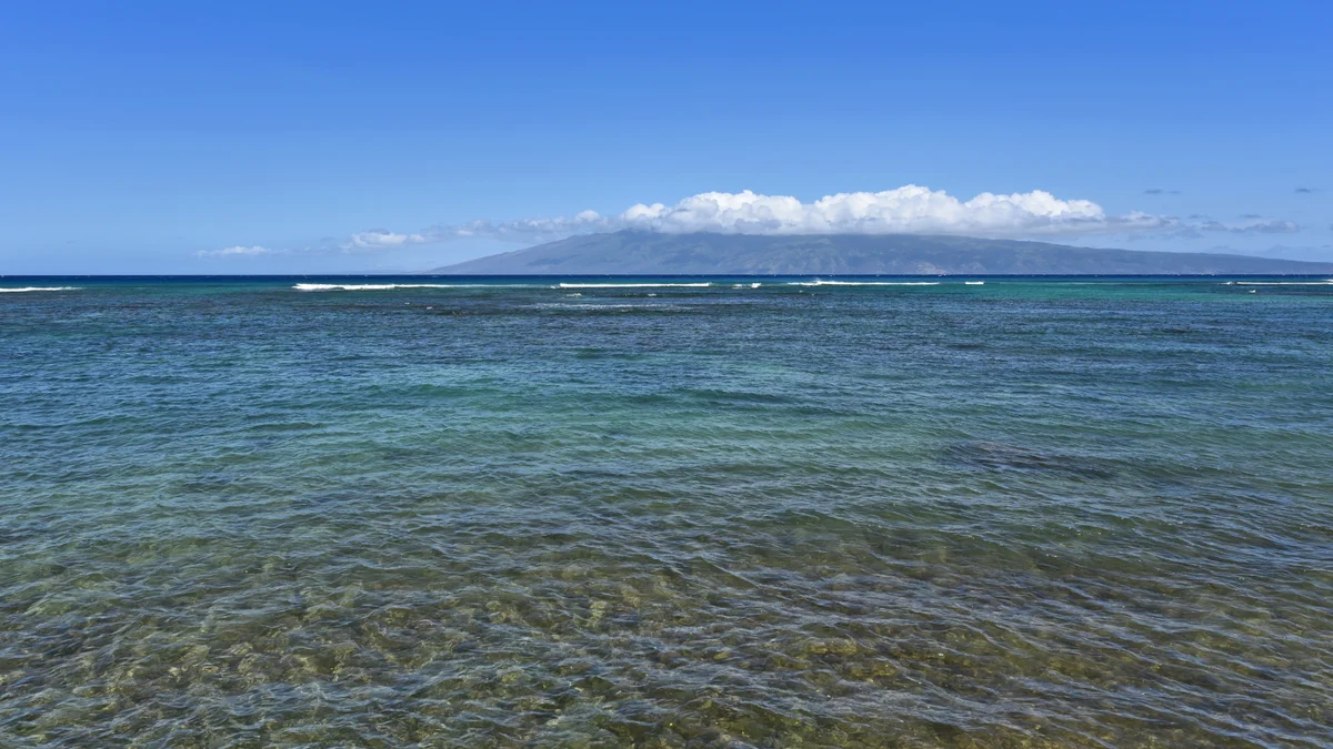 Kahana Reef 117