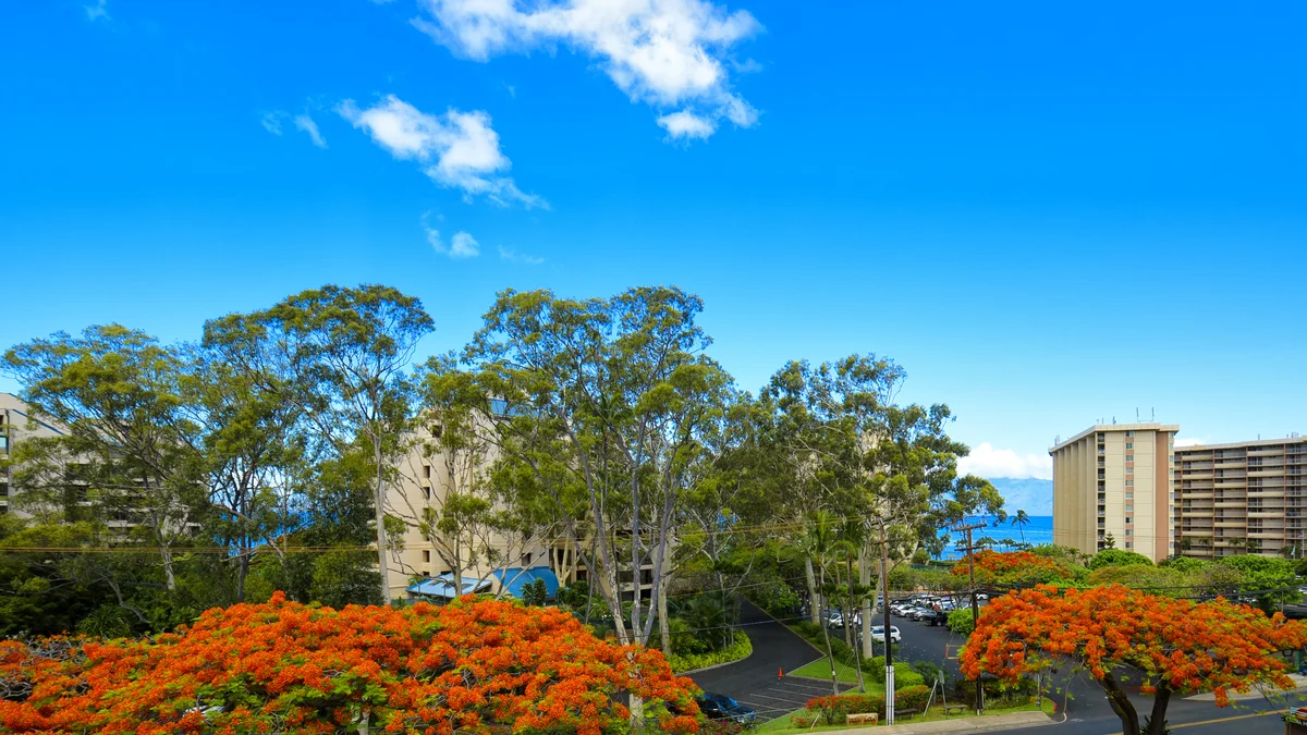 .Kahana Manor 410