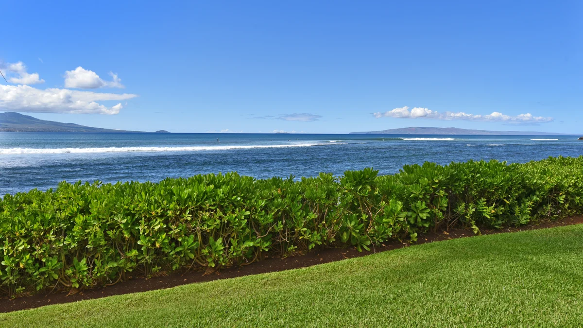 Island Sands 210