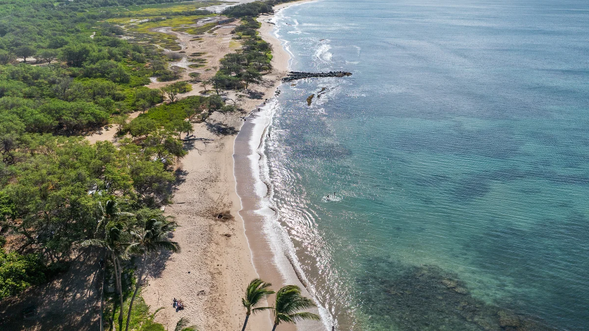 Lauloa 403