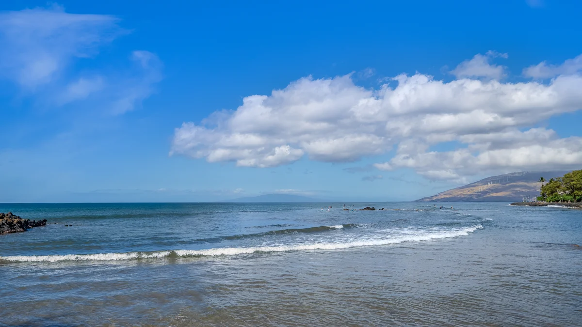 .Pacific Shores A318