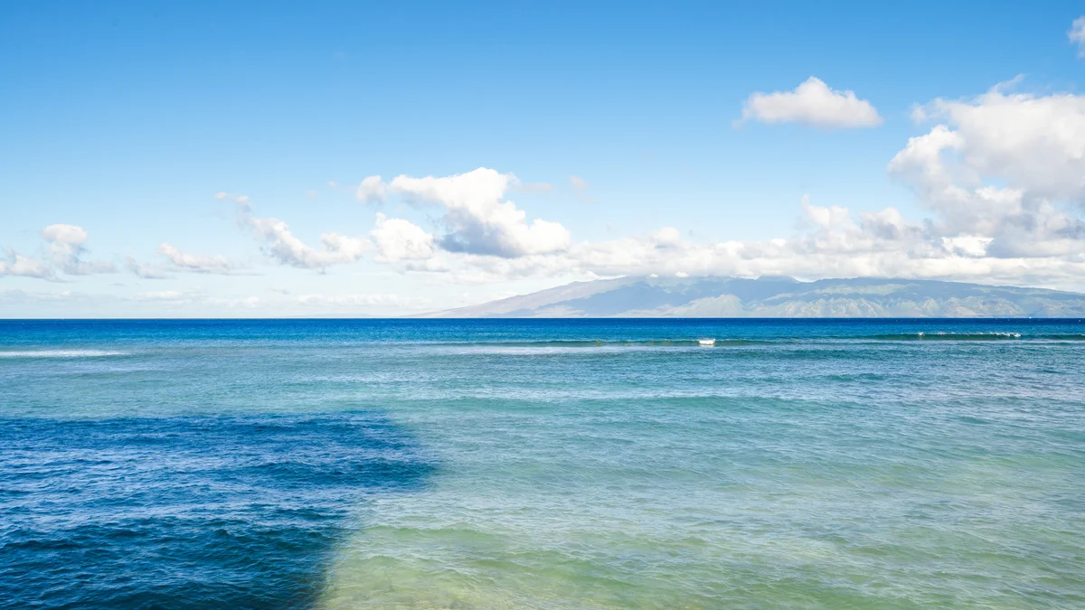Maui Kai 304