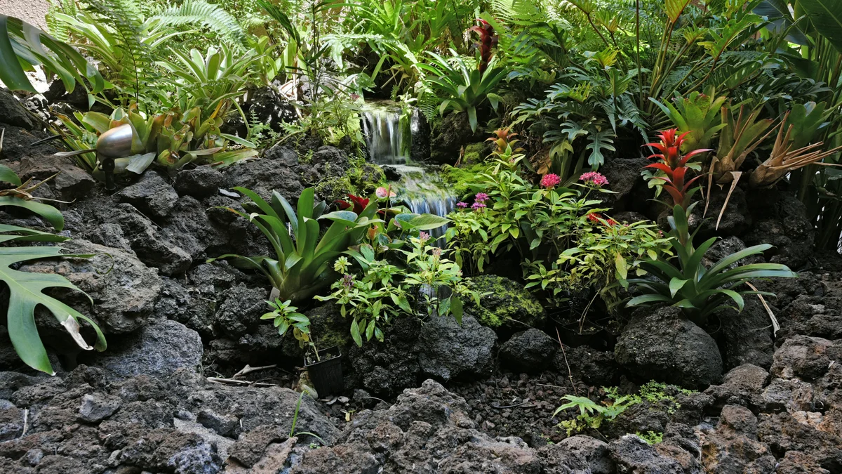 .Maui Vista 1116
