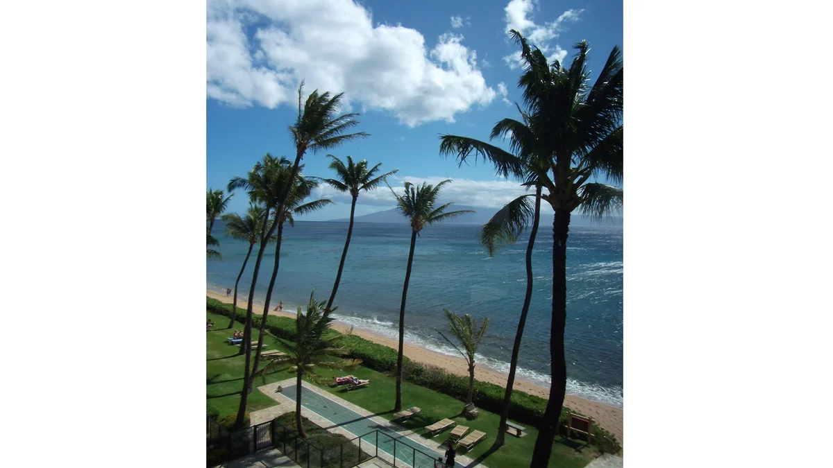.Mahana 803
