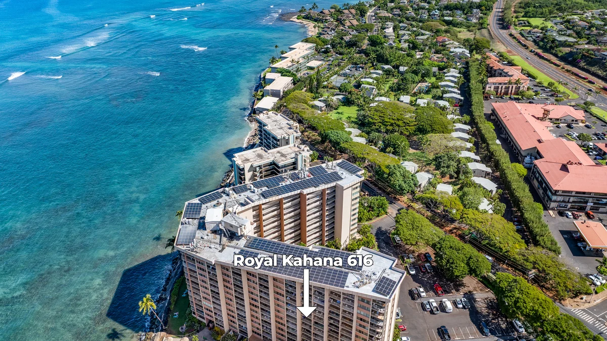 Royal Kahana 616