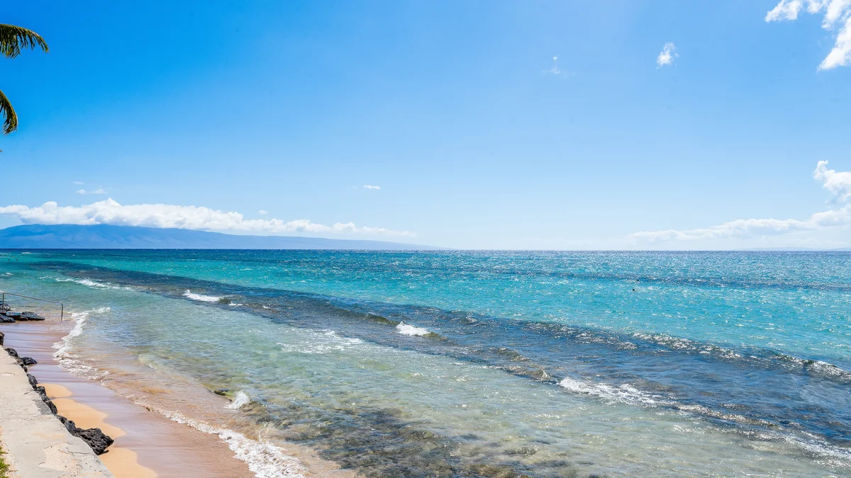 Paki Maui 217