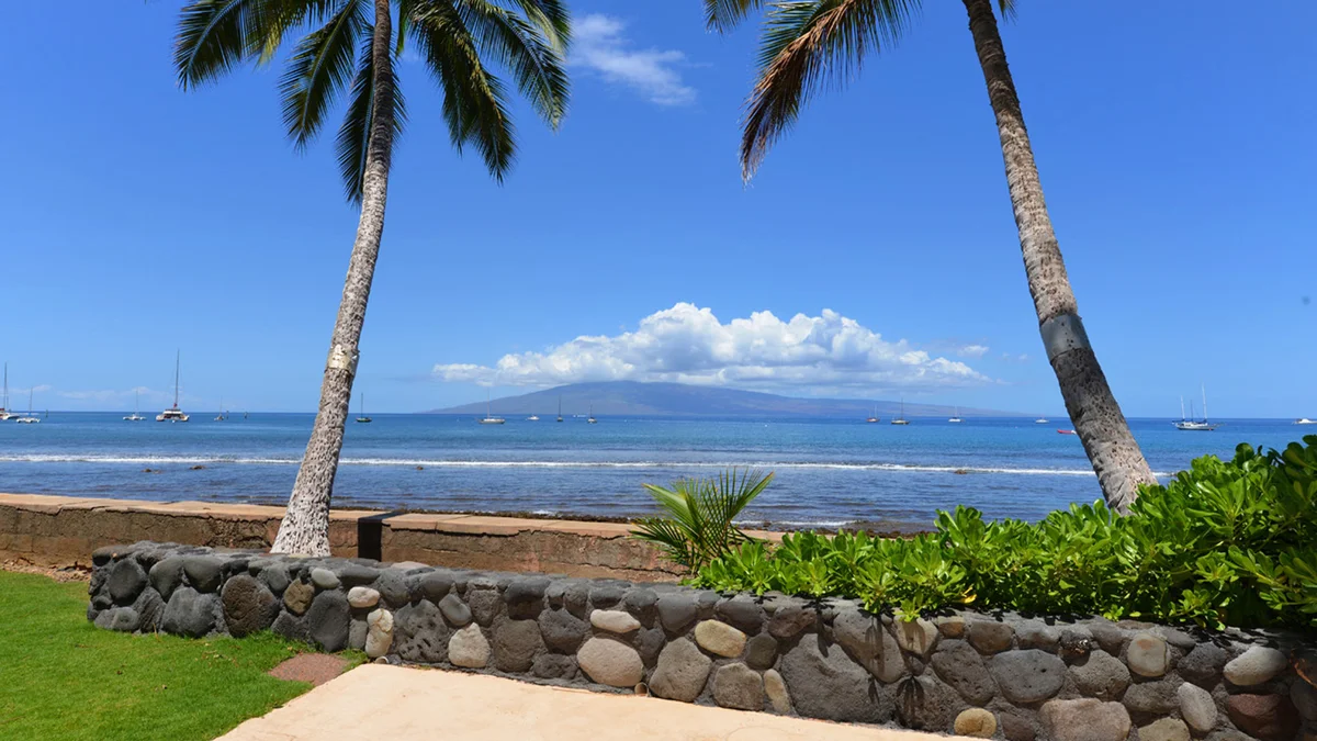 FIRE Lahaina Roads 303