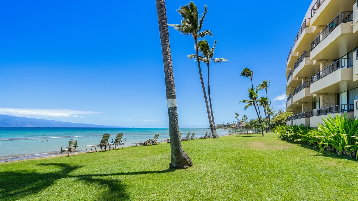 Paki Maui 301
