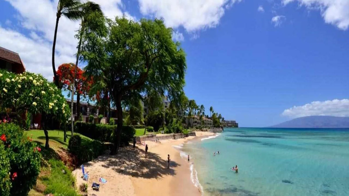 Kuleana 321