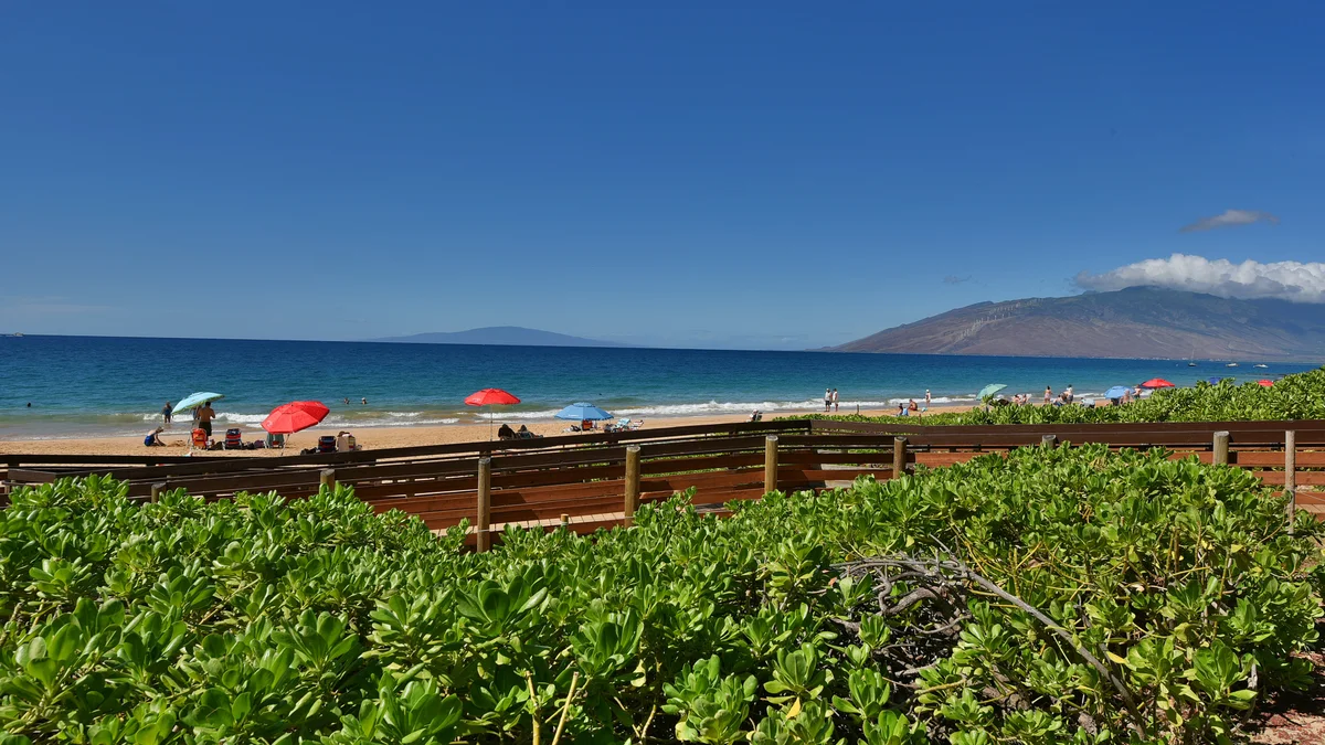 Kihei Akahi C303