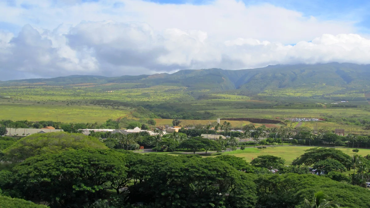 .Mahana 405