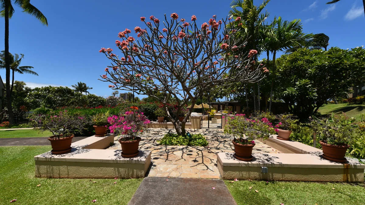 FEMA Kaanapali Royal E101