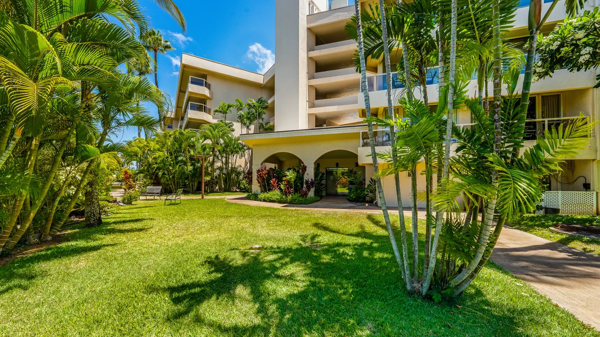 Maui Banyan H207