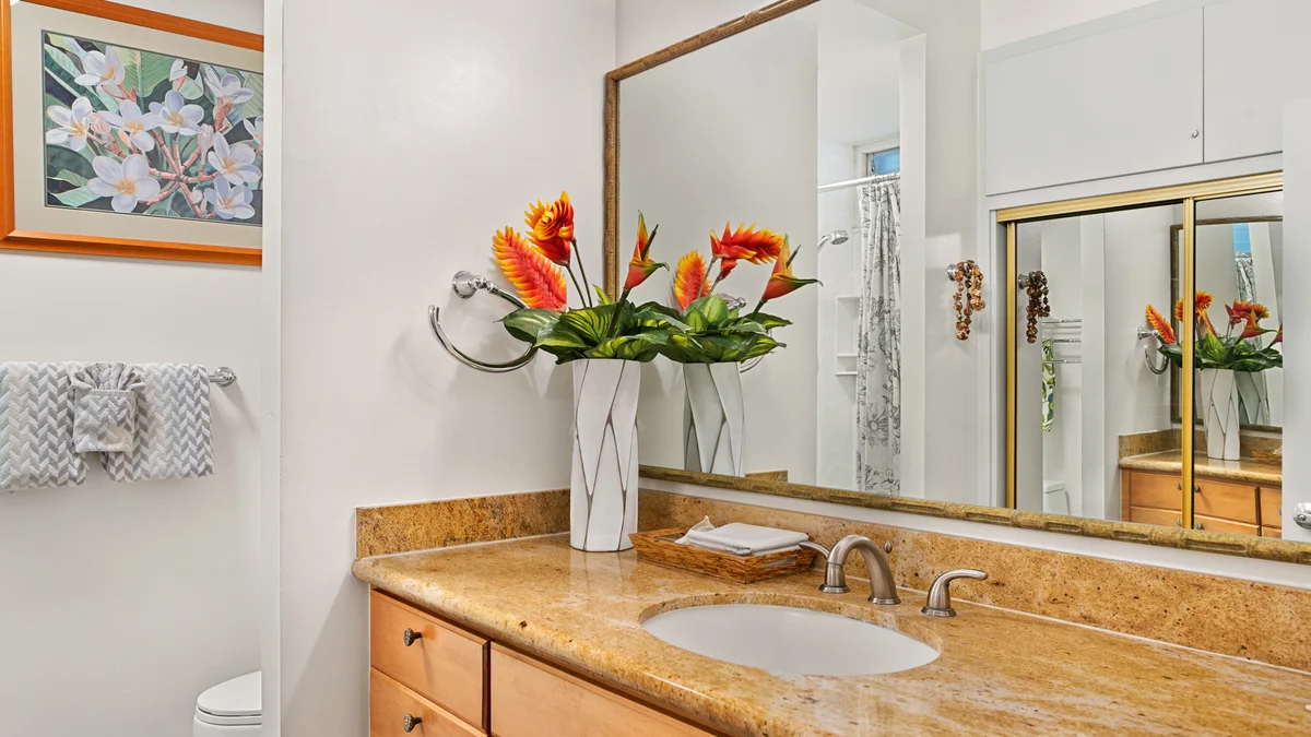 Napili Shores D227