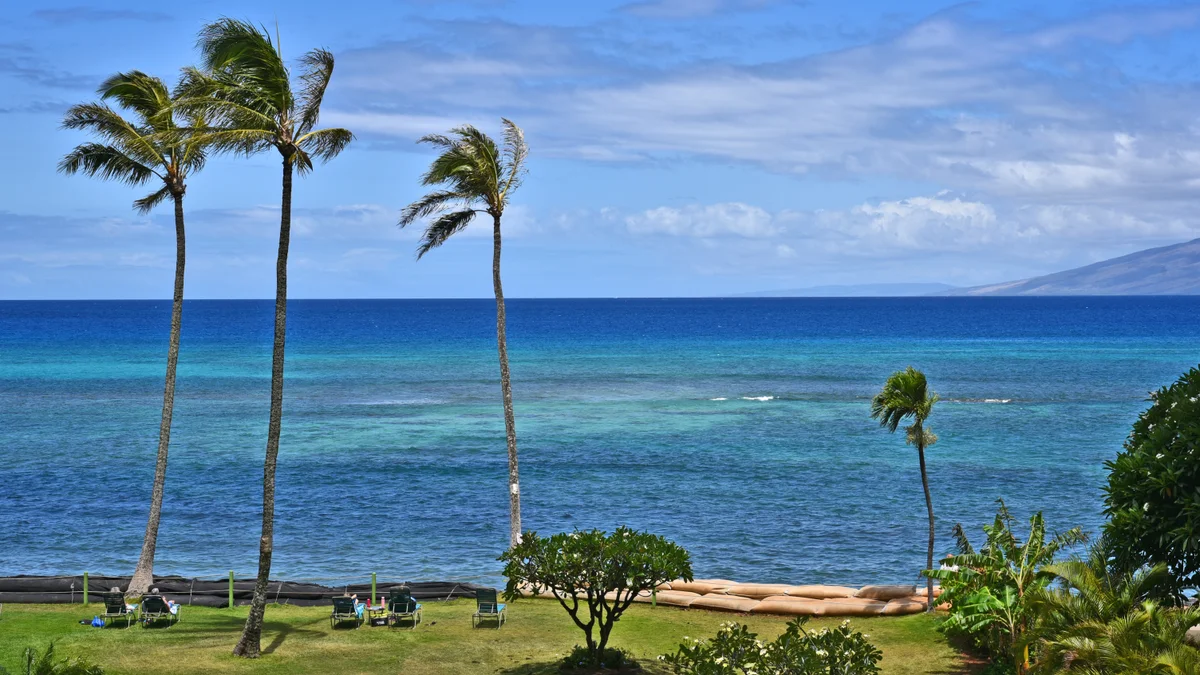 Royal Kahana 301