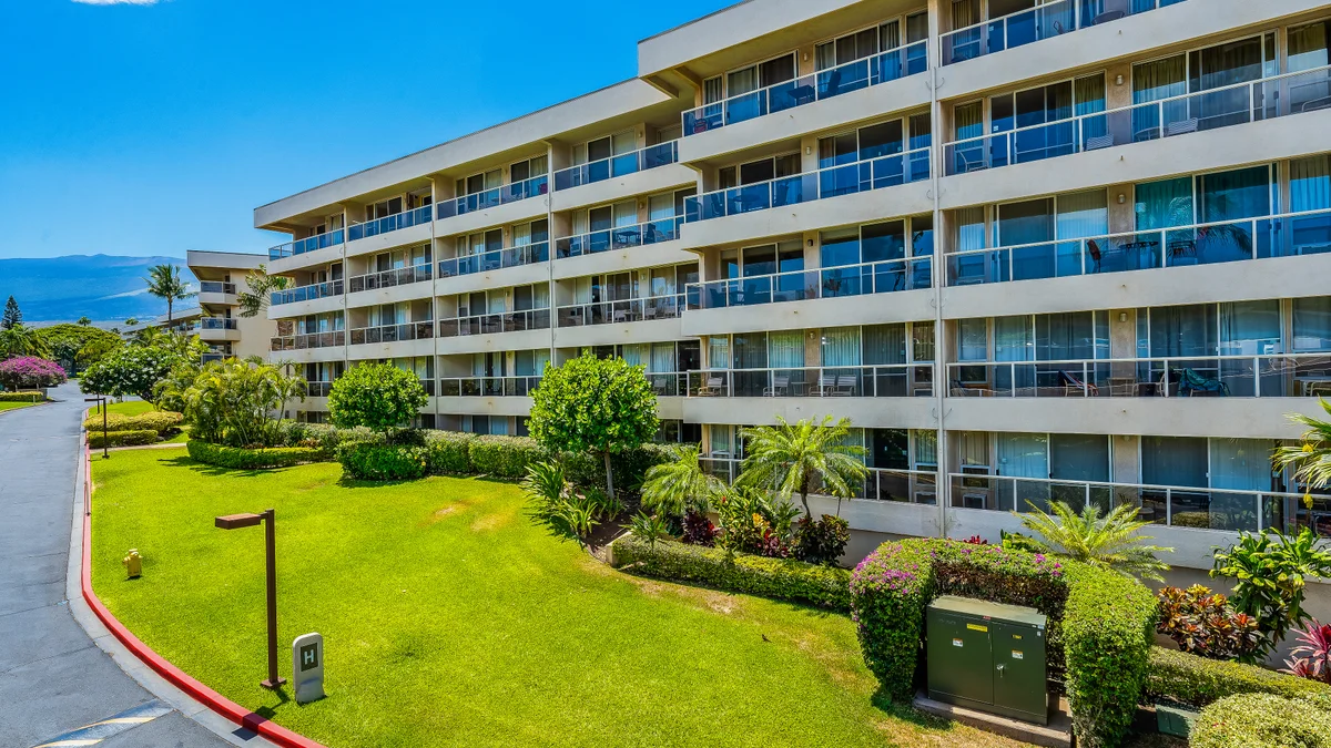 Maui Banyan H207