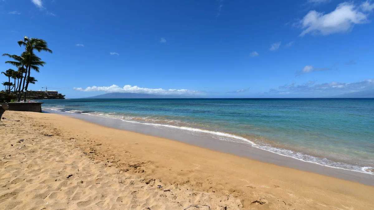 Kaleialoha 211