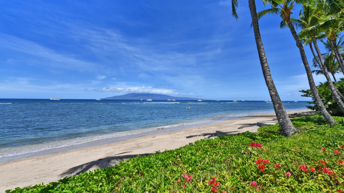 Lahaina Shores 426