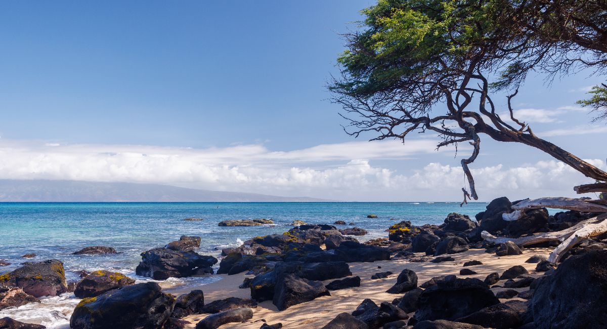 Maui in February: Weather, Things to Do, and Why You Should Visit