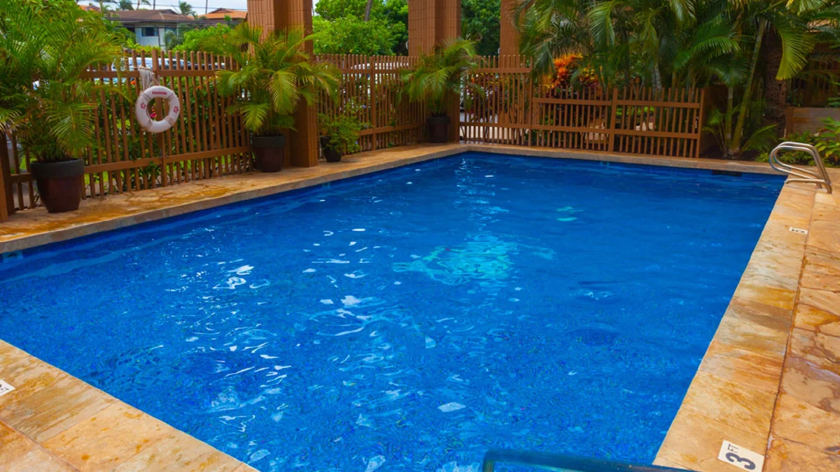 Kaleialoha 401