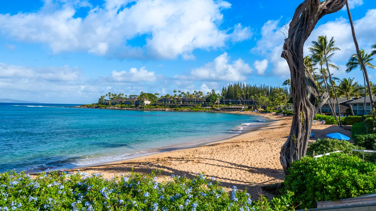 Napili Surf 207