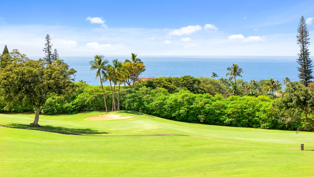 Kaanapali Plantation 19