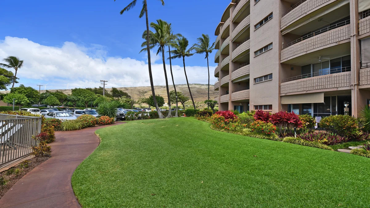 Island Sands 210