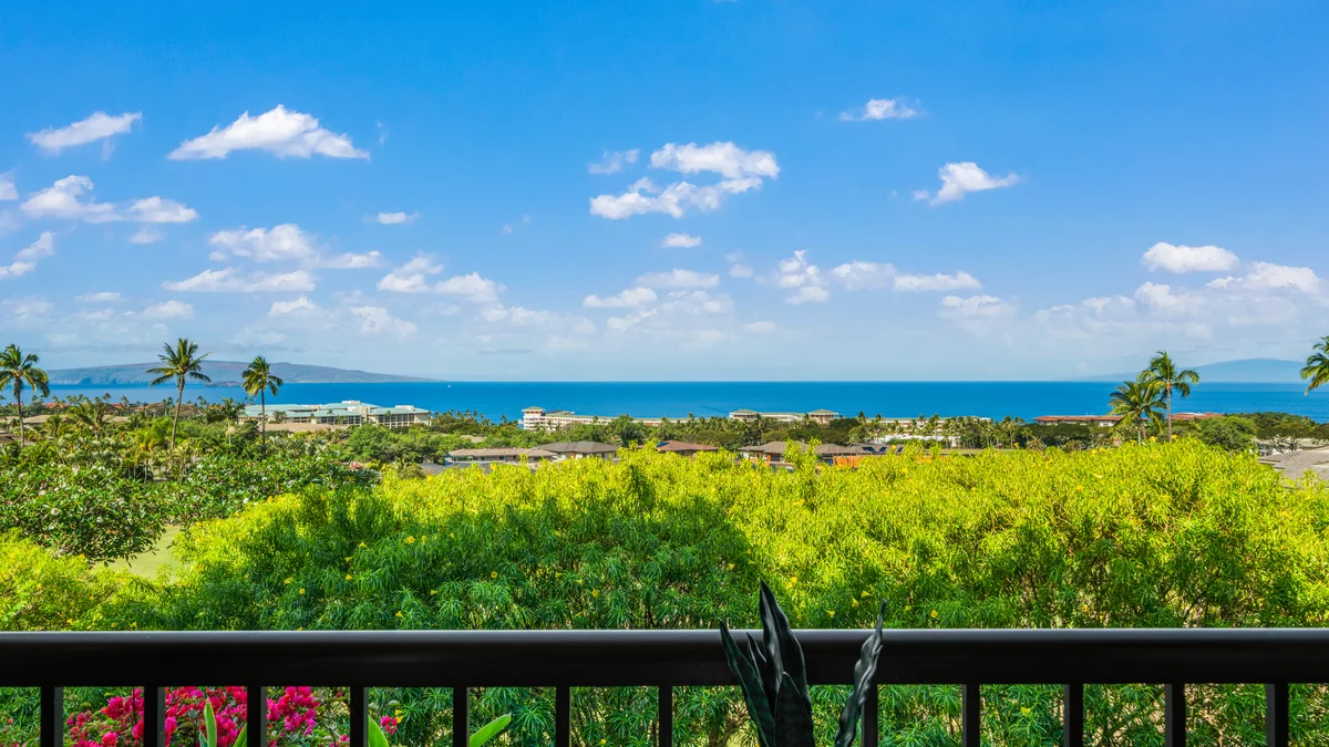 Wailea Ekolu 907
