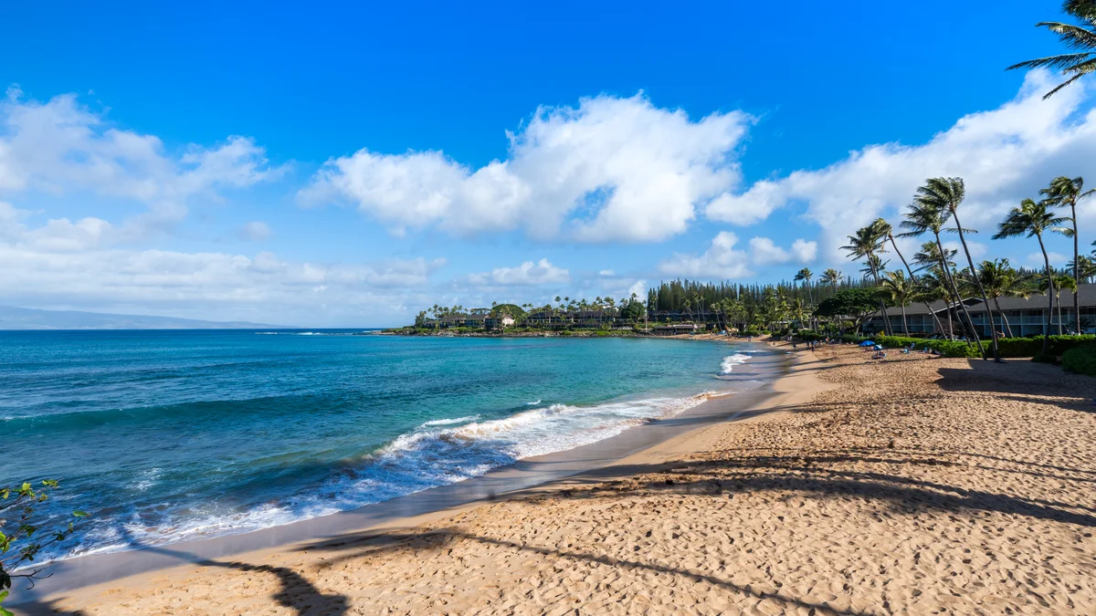 Napili Surf 207