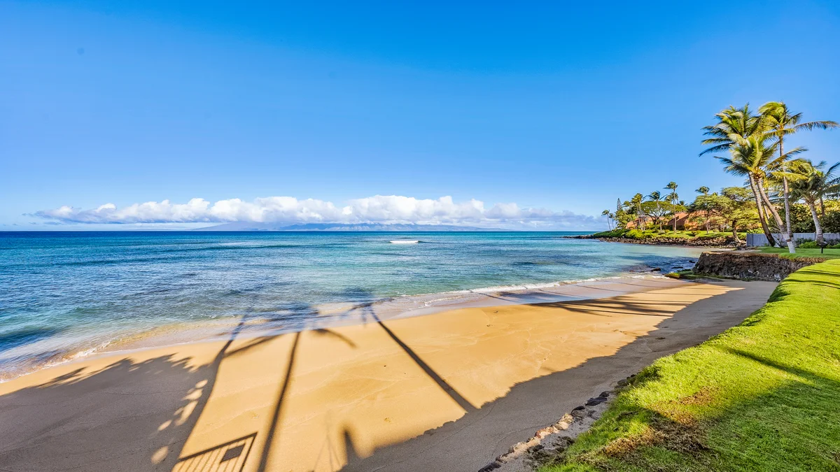 Hale Mahina A202