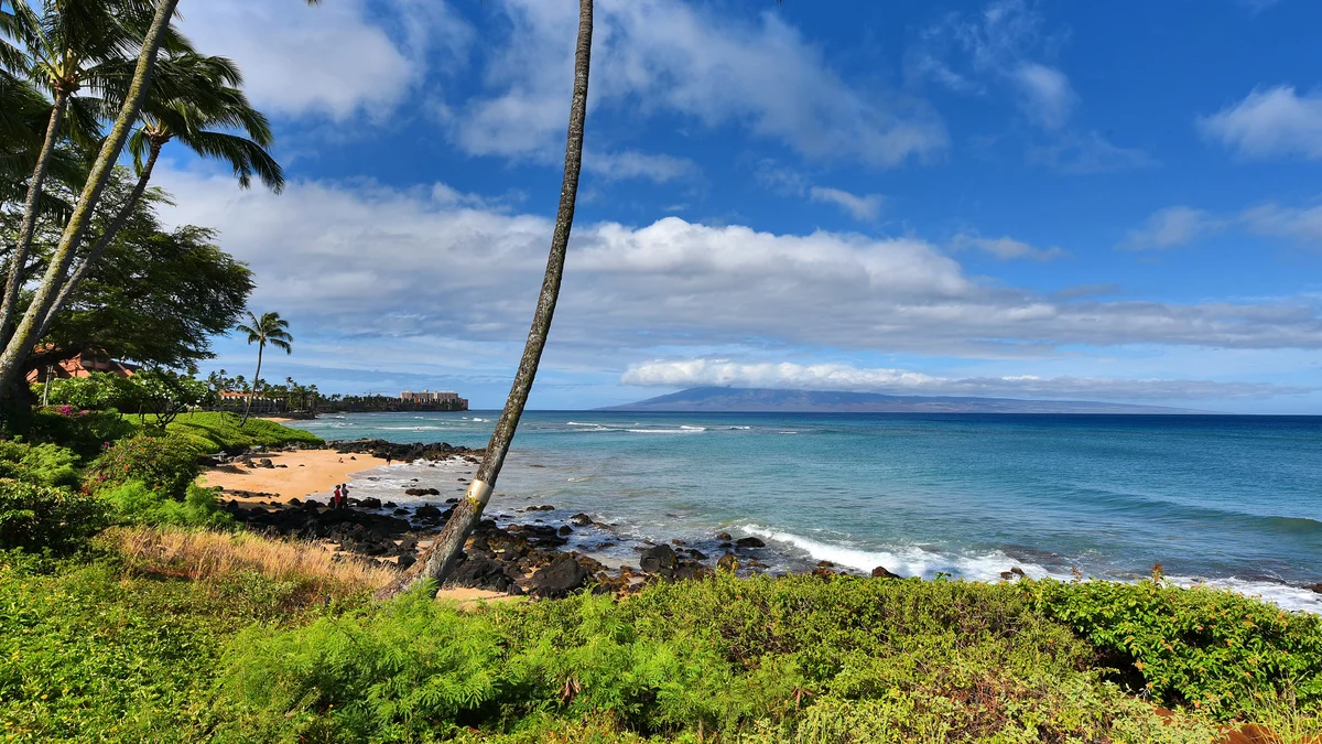 FEMA-Polynesian Shores 113