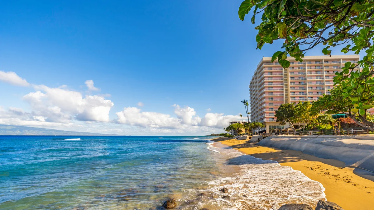 Maui Kai 304