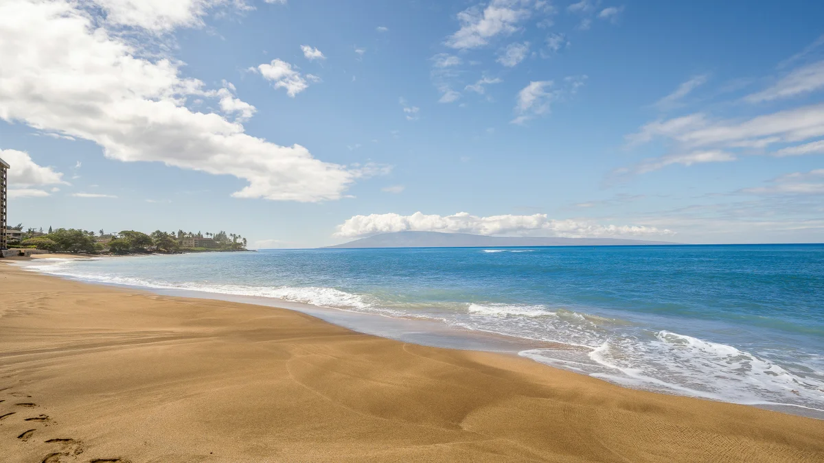 .Kahana Manor 318