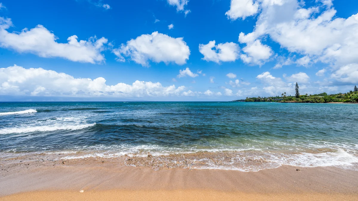Kahana Village 31