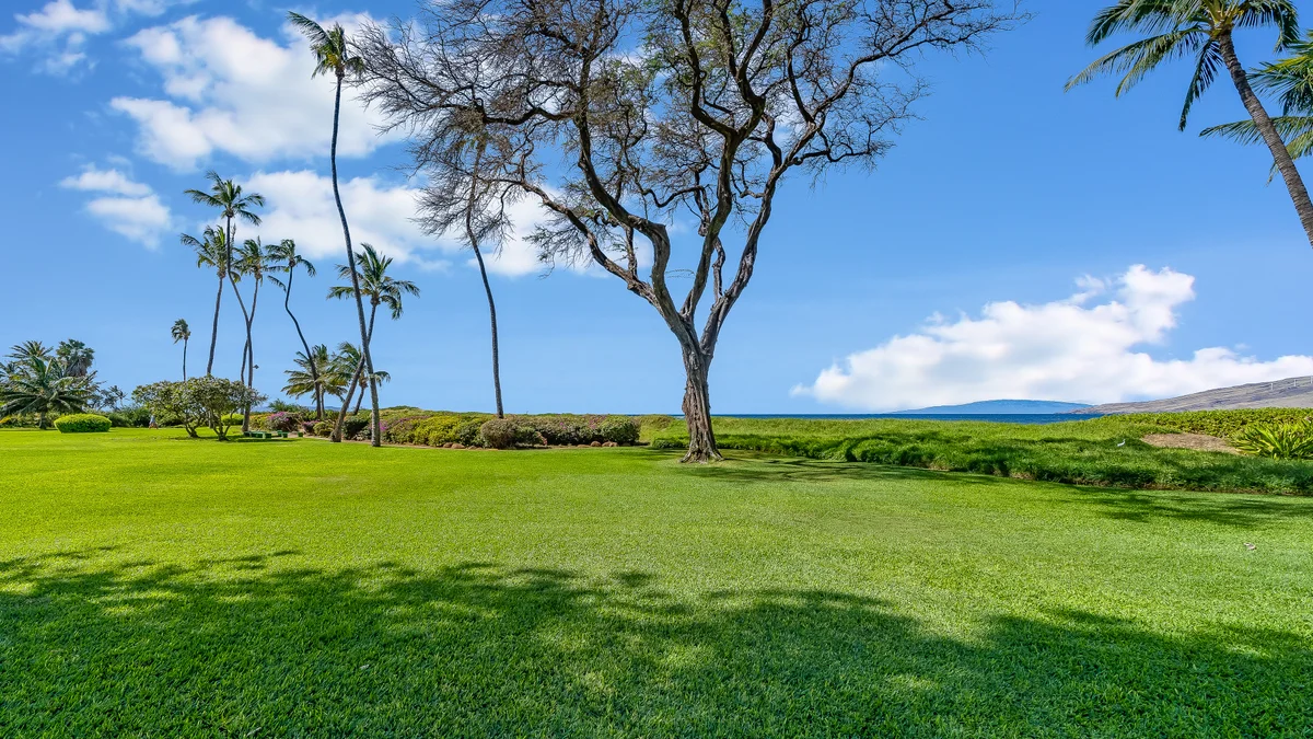 Koa Resort 3J