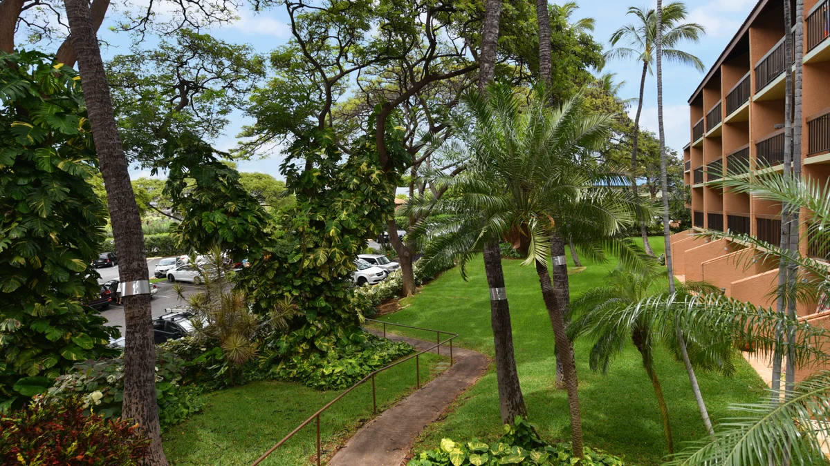 .Maui Vista 1116