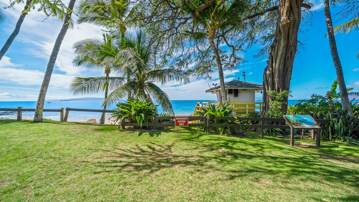 Kamaole Sands 8409
