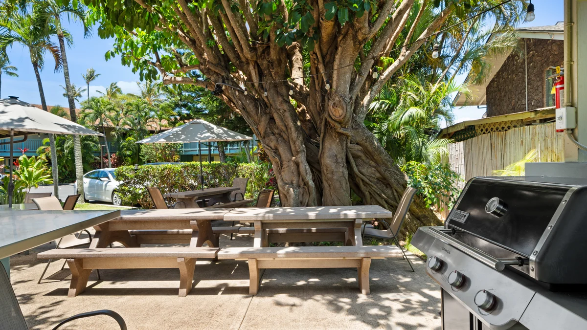 Napili Bay 210
