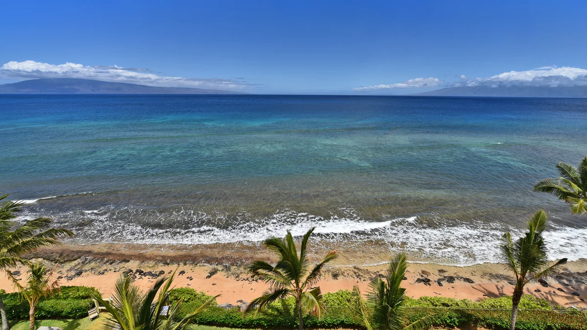 Mahana 501