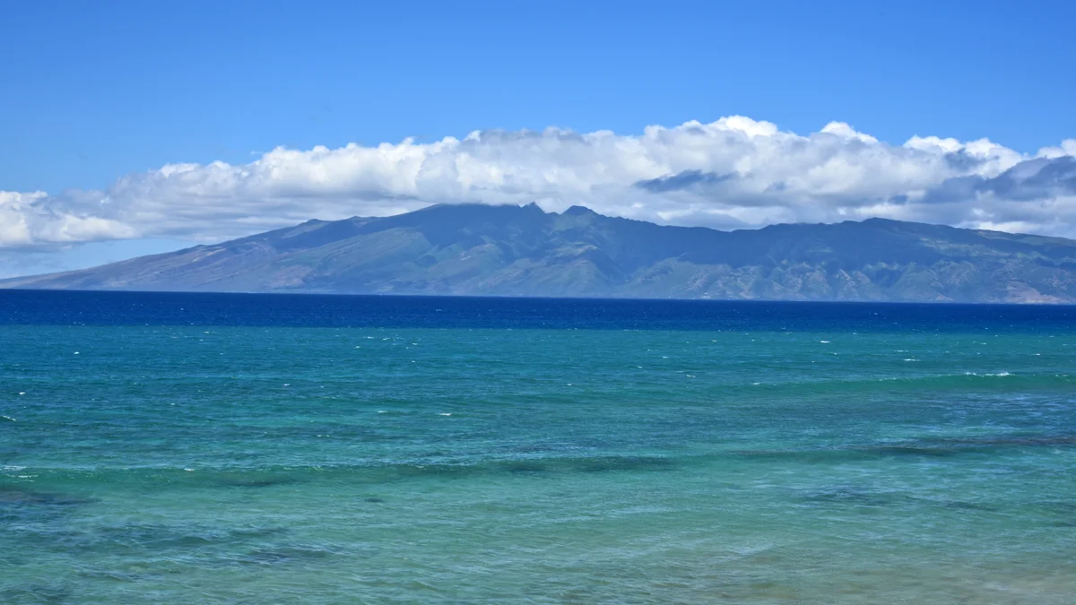 Kaleialoha 210