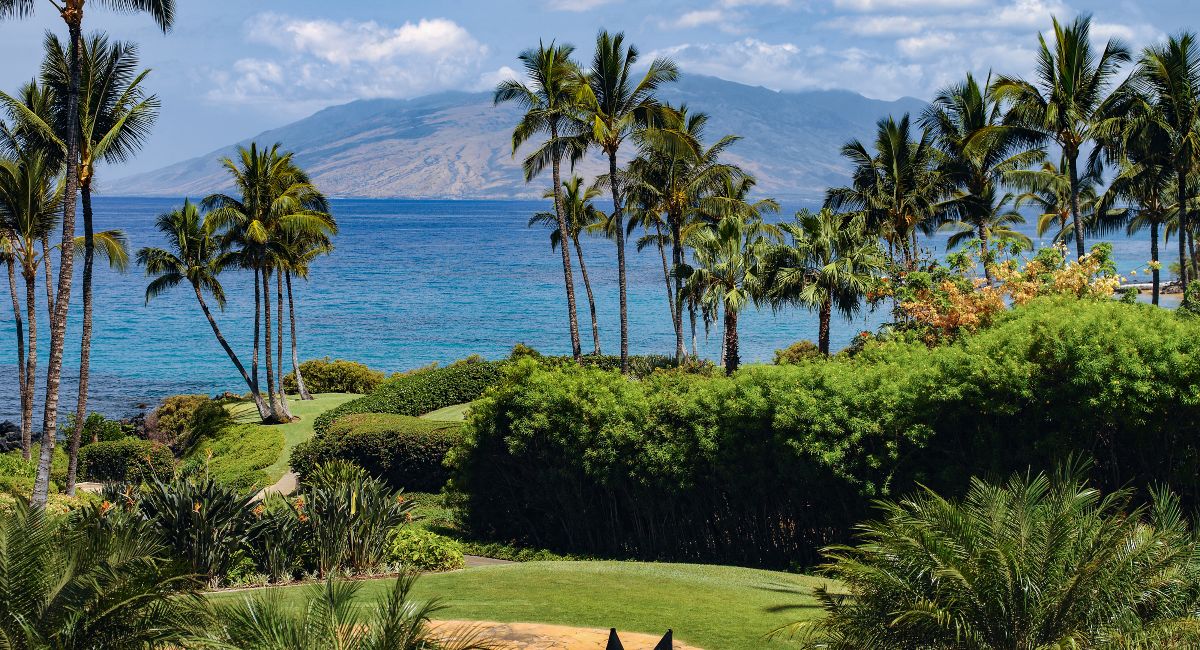 Best Time to Visit Maui: A Month-by-Month Guide