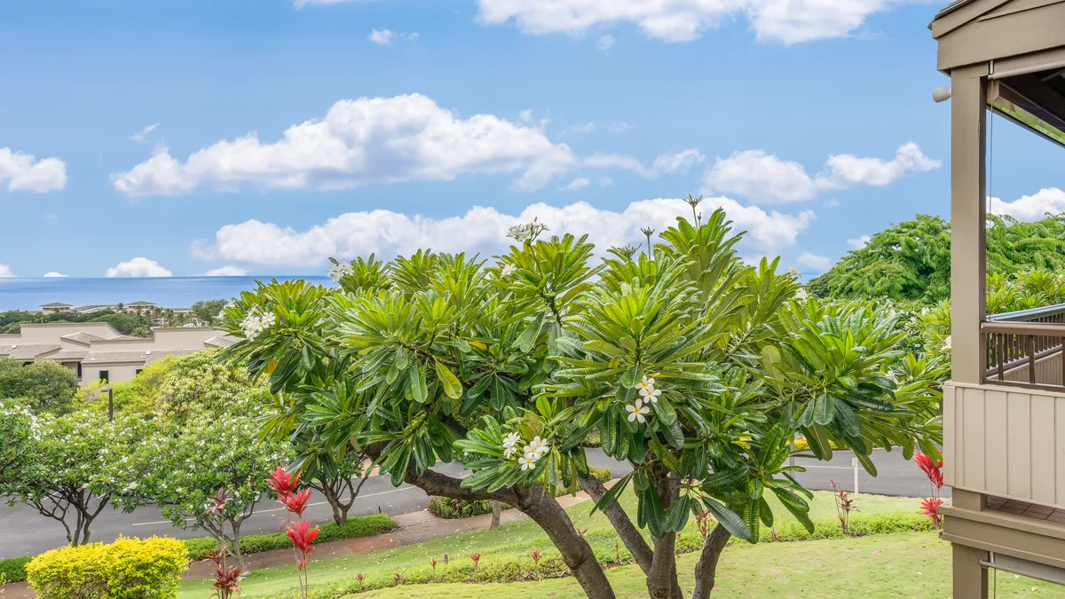 Wailea Ekolu 504