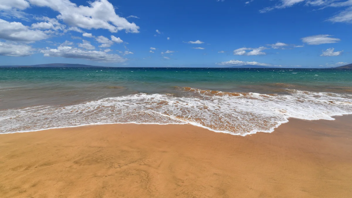 Kihei Akahi C303