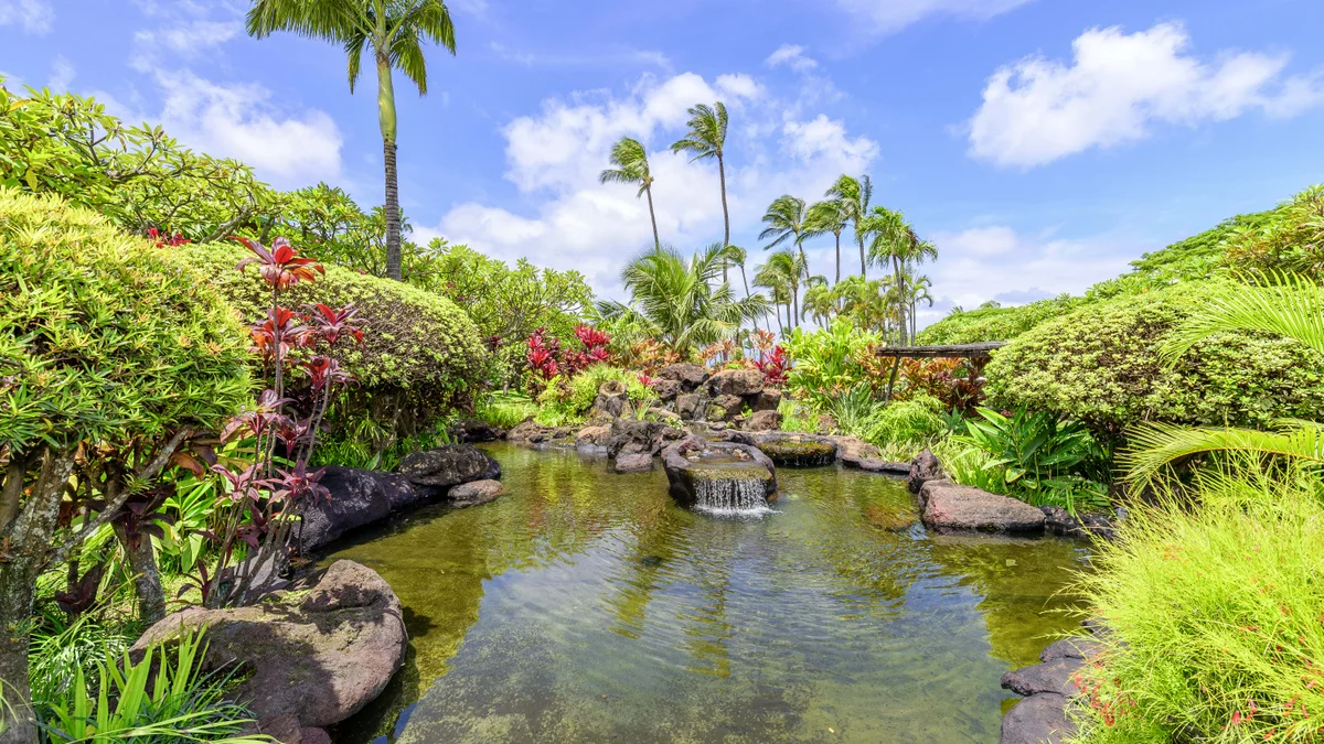 Napili Shores C116