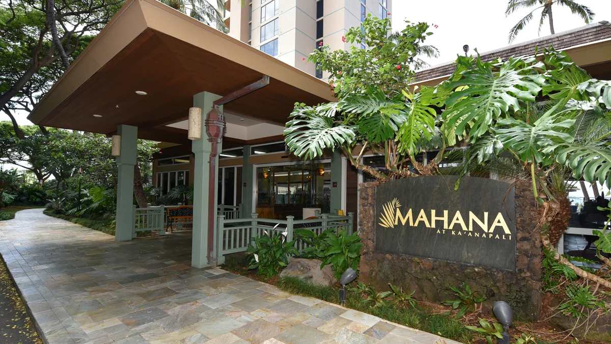 Mahana 1113