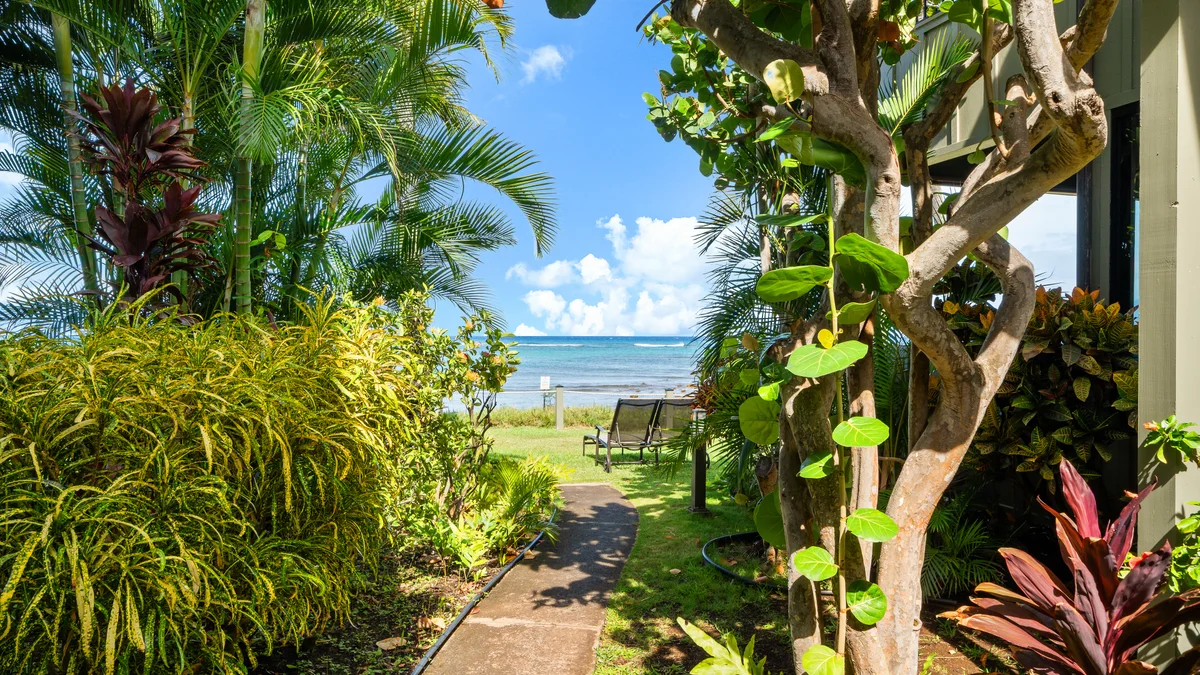 Kahana Village 26